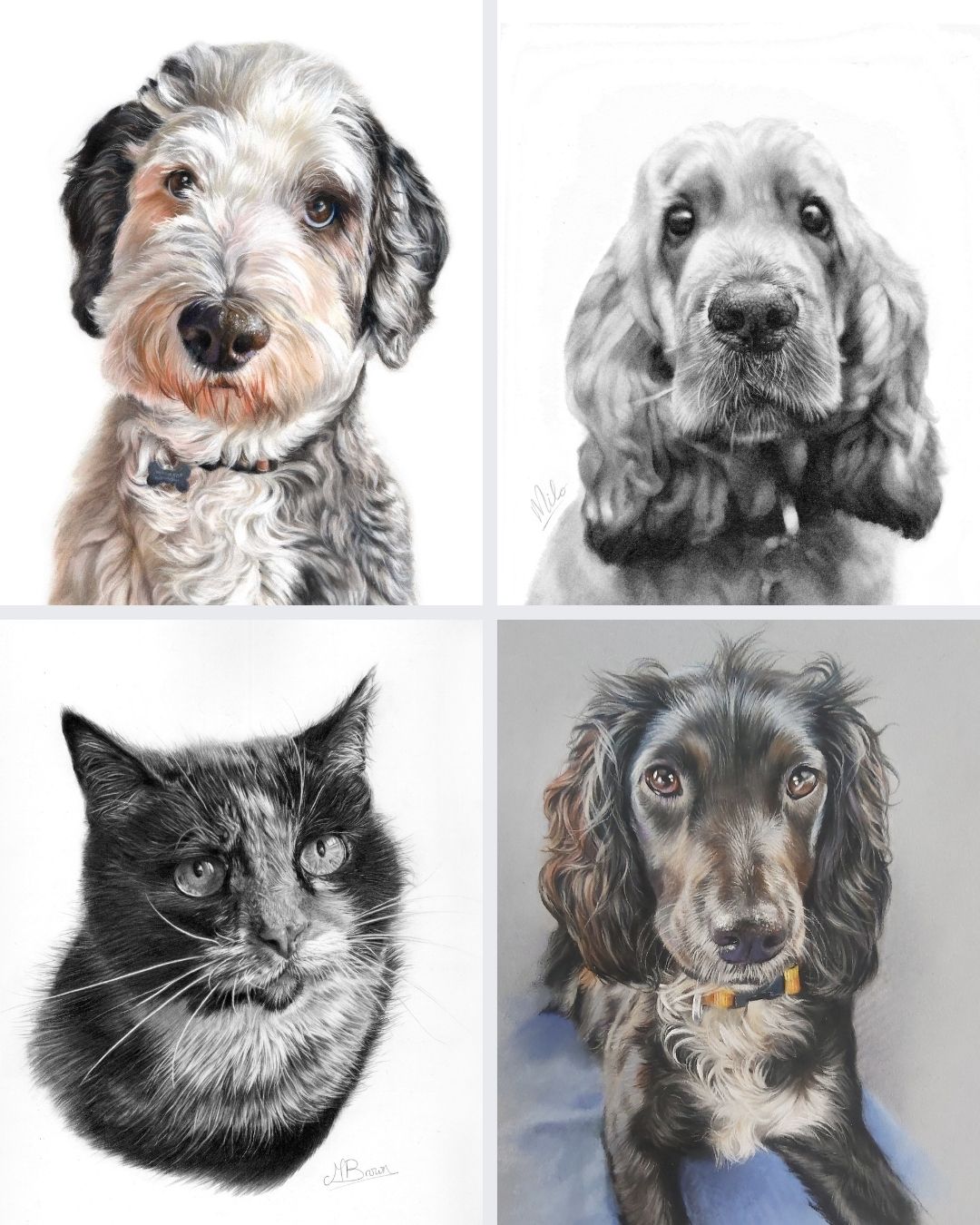 Collage of pet portraits by Marie Brown