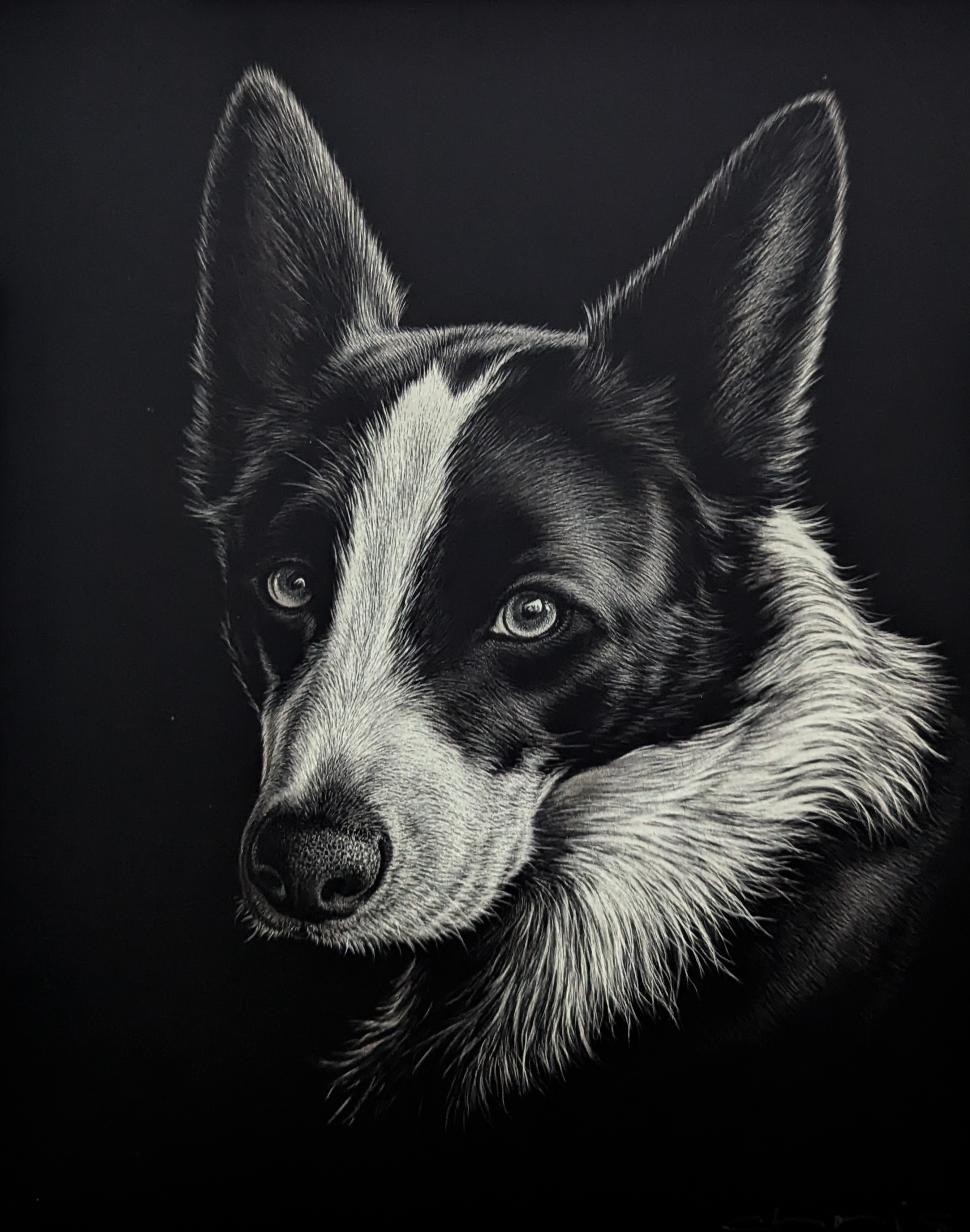 Dog portrait by Chris Ball