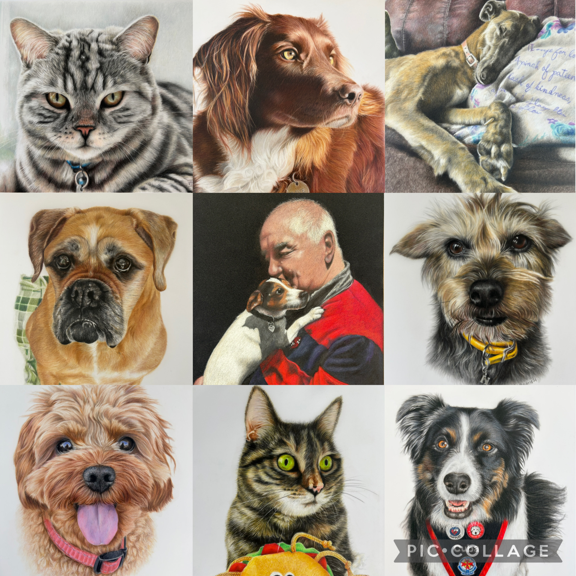 Collage of artwork by Vanessa Harding