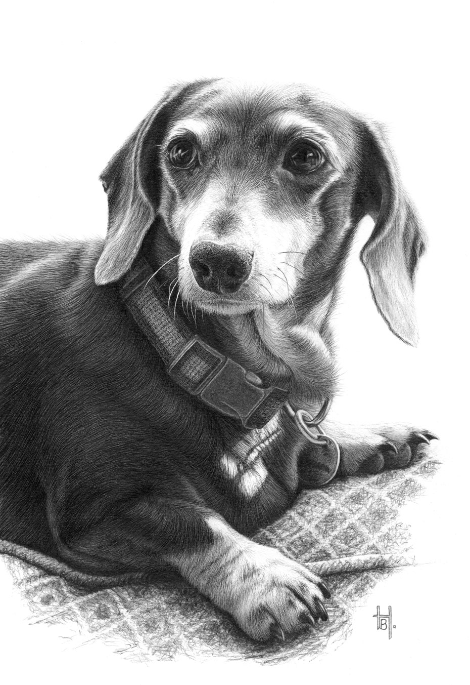 Dog portrait by Heather Butler