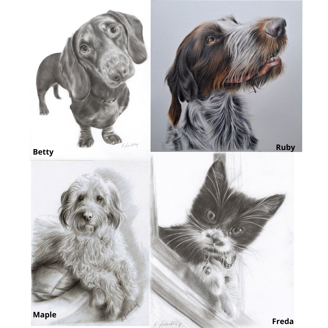 Collage of pet art by Rebecca Findlay