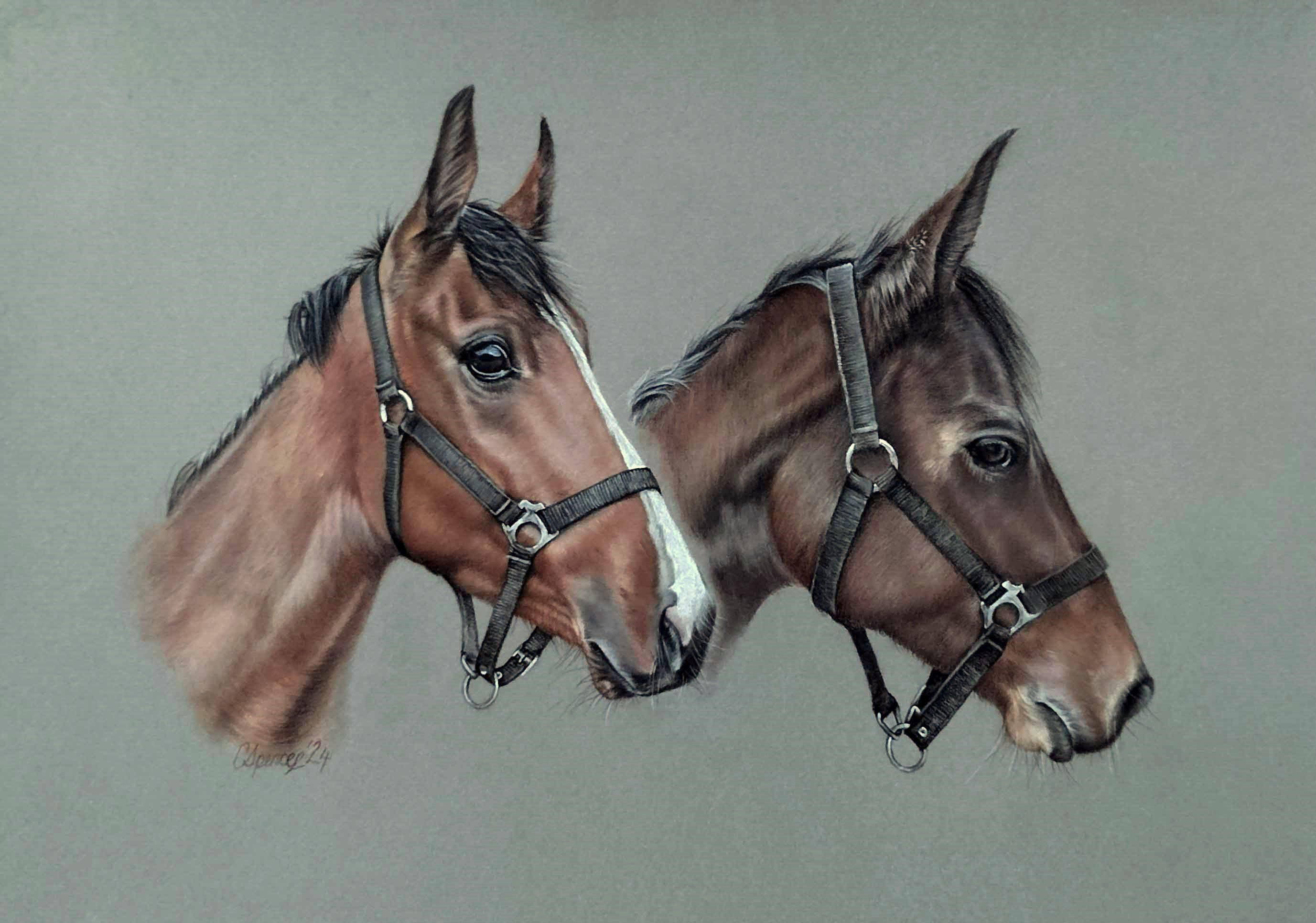 Pair of horses by Carol Spencer