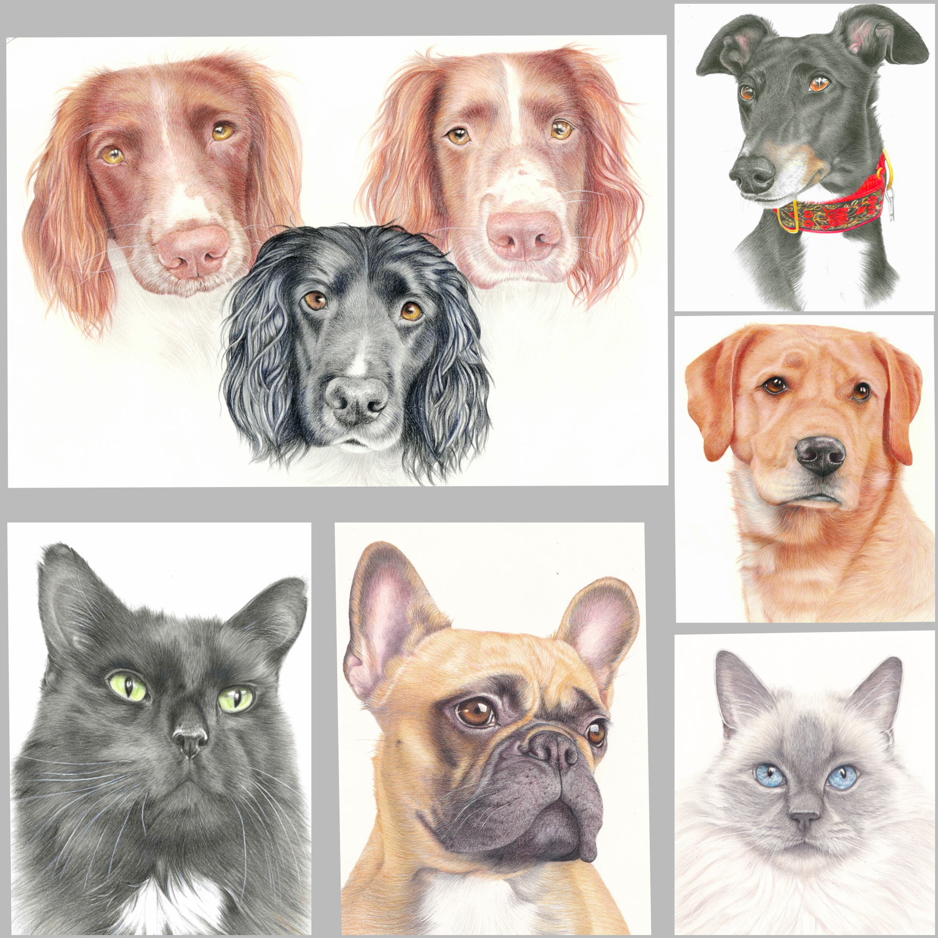 Collage of pet portraits by Sue Tyler