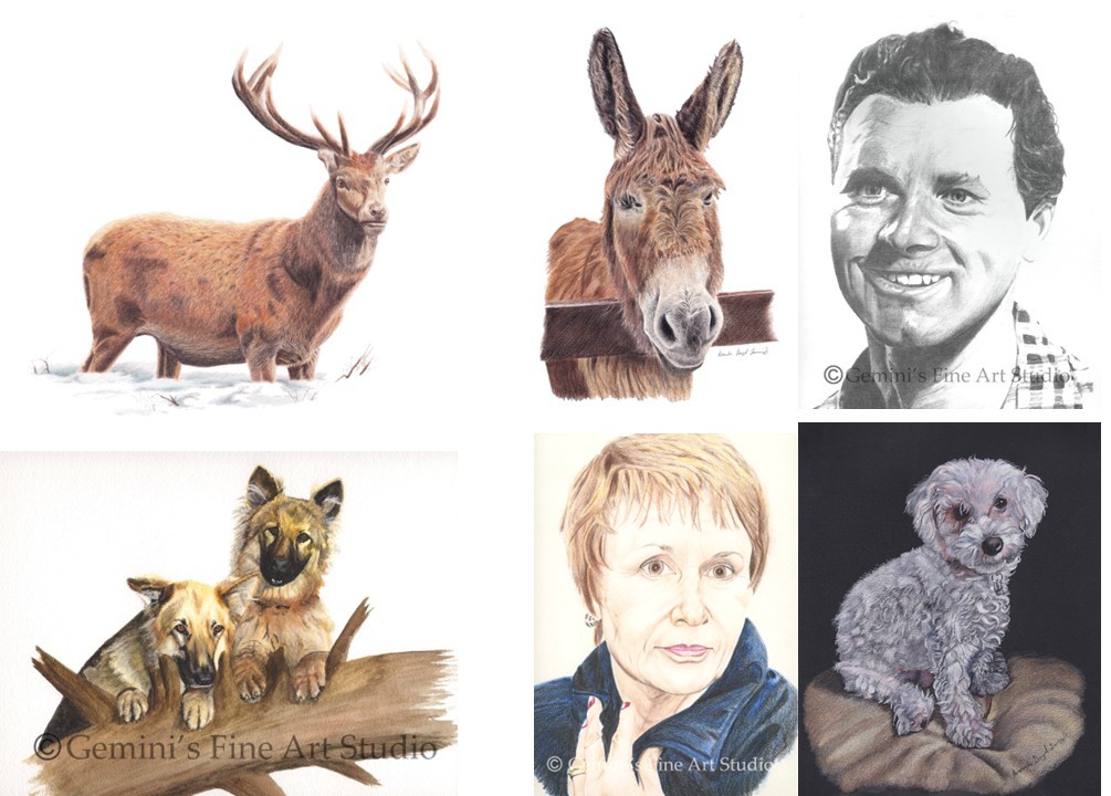 Collage of artwork by Amanda Lloyd Jennings