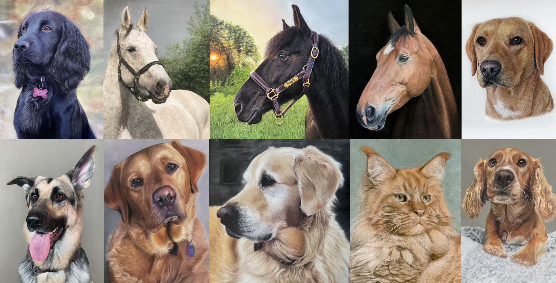 Collage of artwork by Andrea Cox