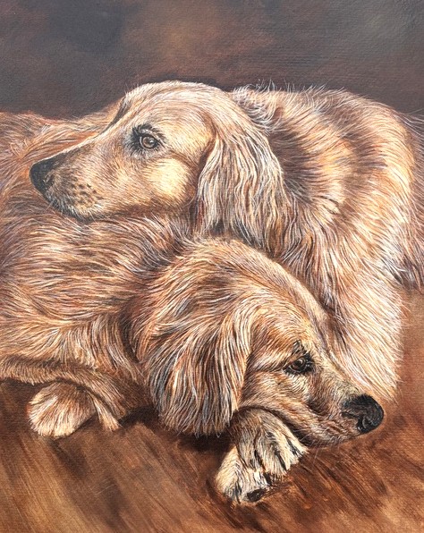 Portrait of 2 dogs by Helen Abbott