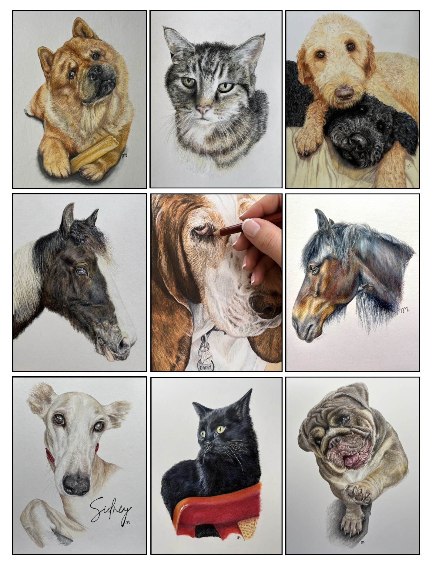 Collage of pet artwork by Joanne Molloy