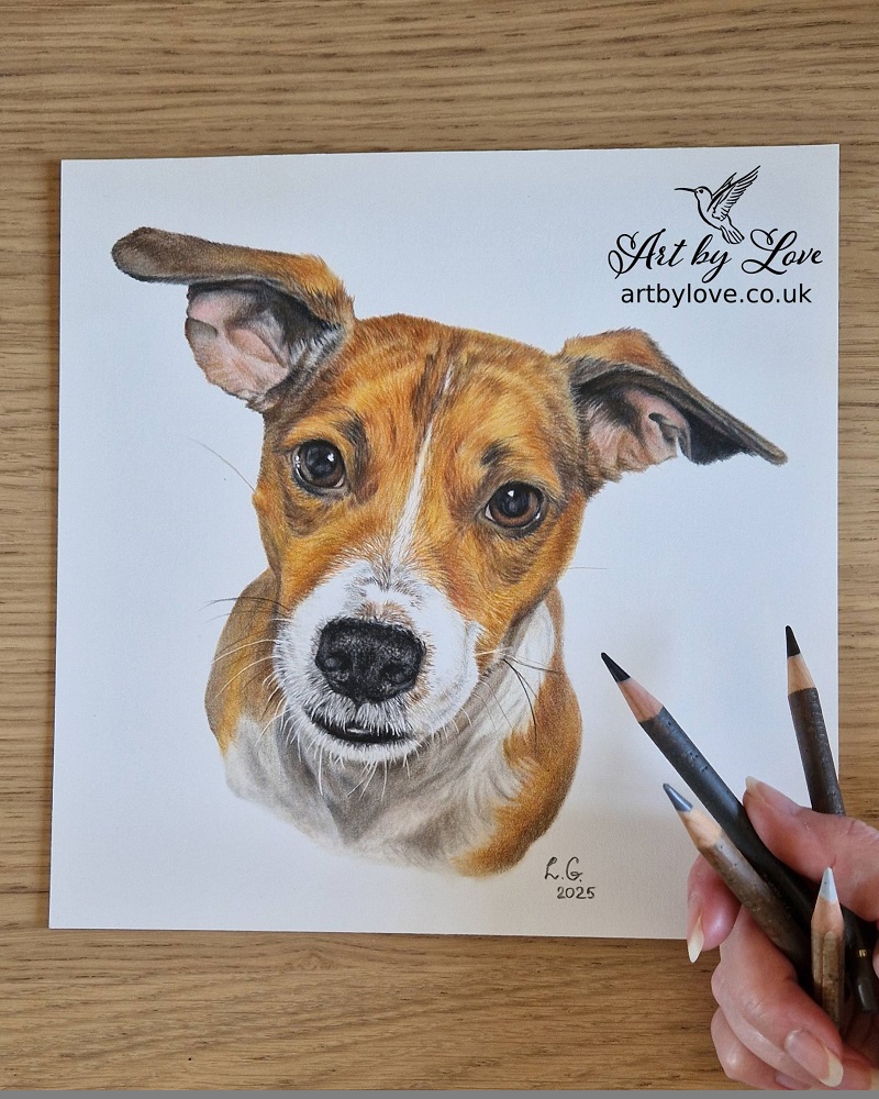 Dog portrait by Love Grosmane