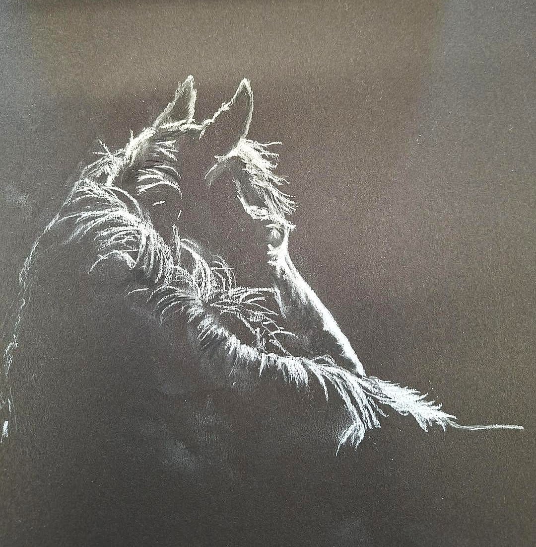 Horse sketch by Sharon Herbert