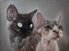 Cat portrait by Karl Royce