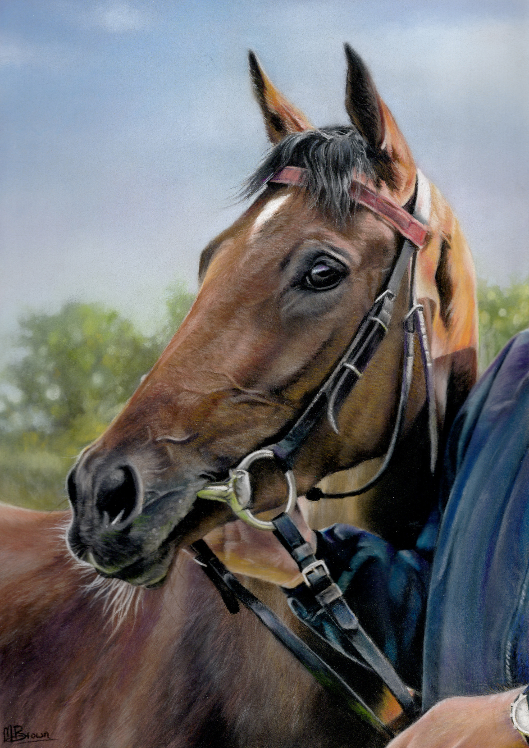 Horse portrait of a chestnut horse in tack, by Marie Brown