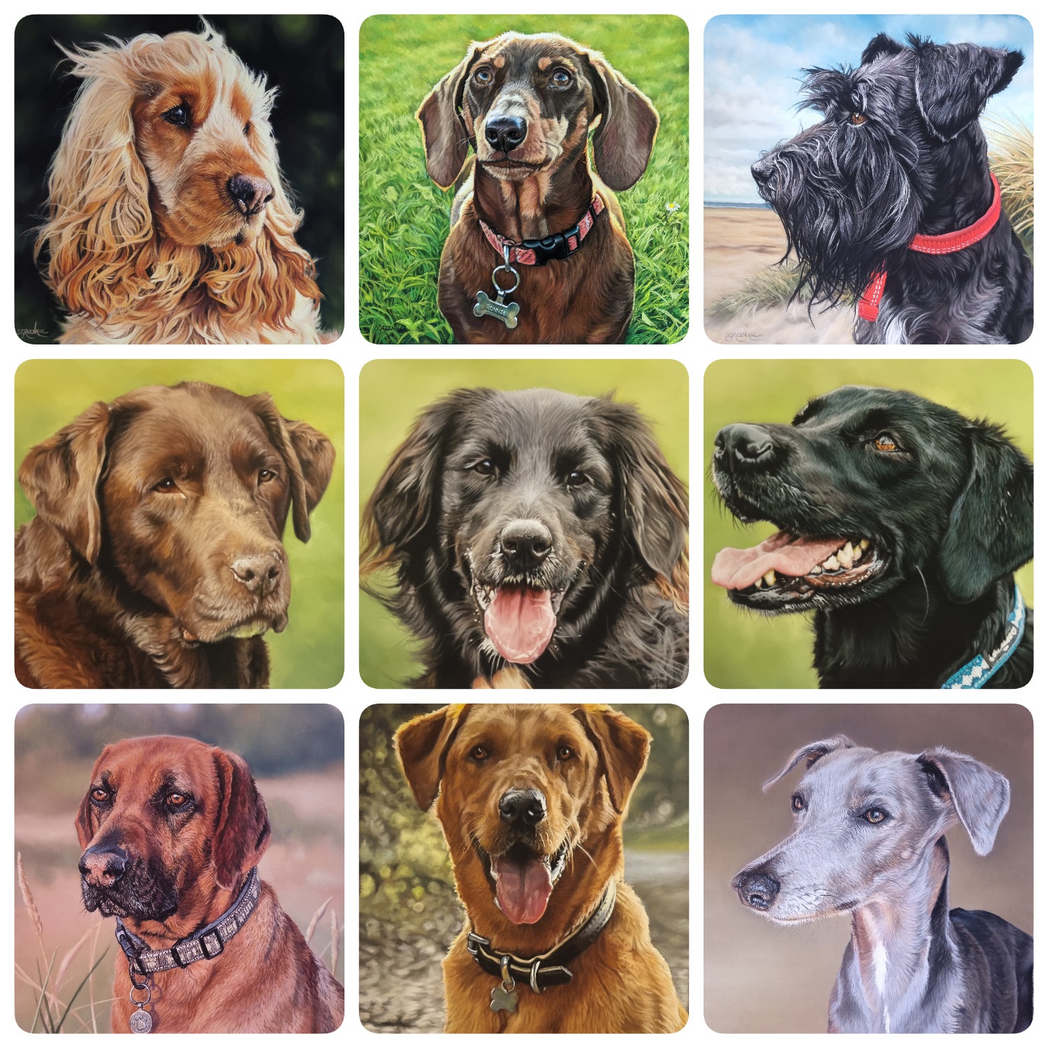 Collage of pet artwork by Samantha Greenhill