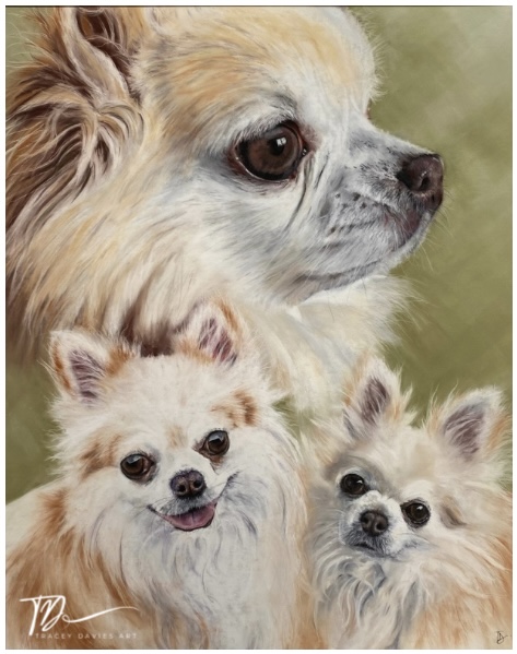 3 dog portrait by Tracey Davies