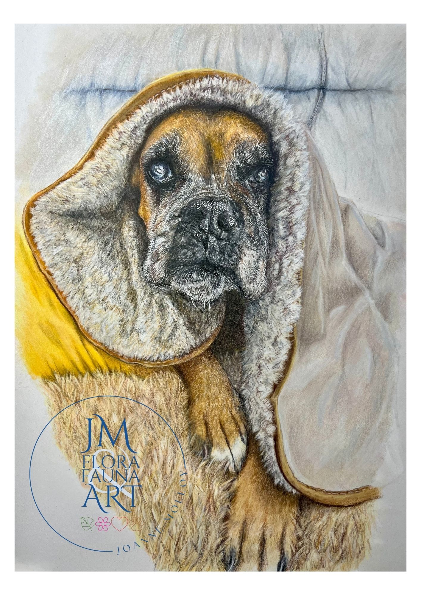 Dog portrait by Joanne Molloy