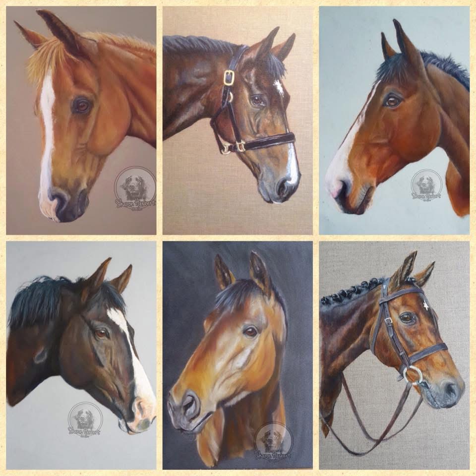 Horse artwork collage by Sharon Herbert