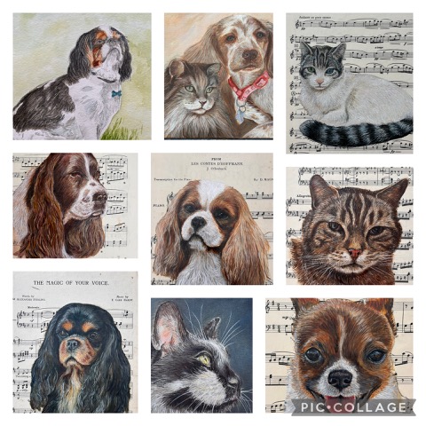 Pet portrait collage by Helen Abbott