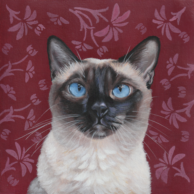 Siamese Cat Portrait by Jackie Buckle