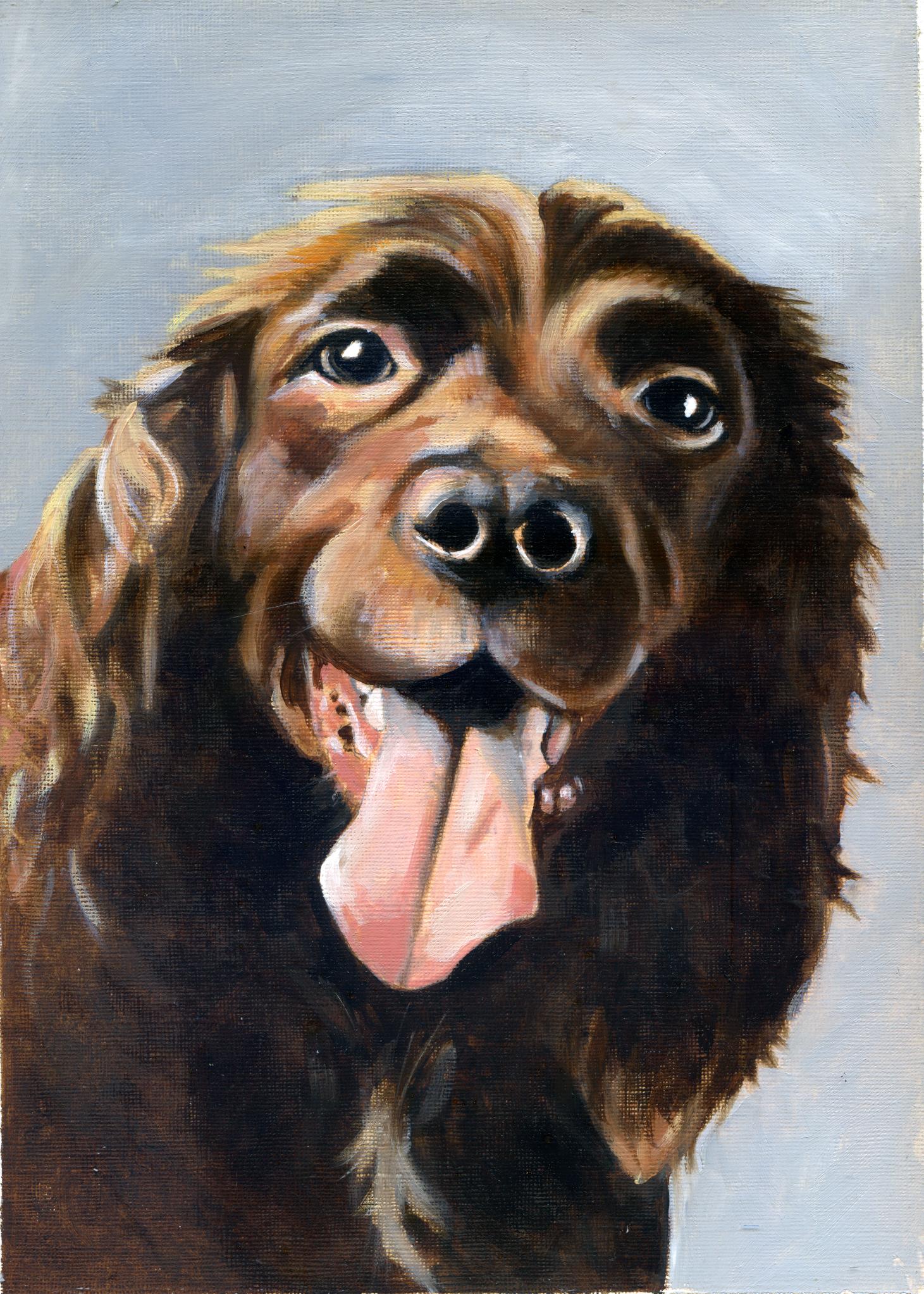 Dog portrait by Emma S Campbell