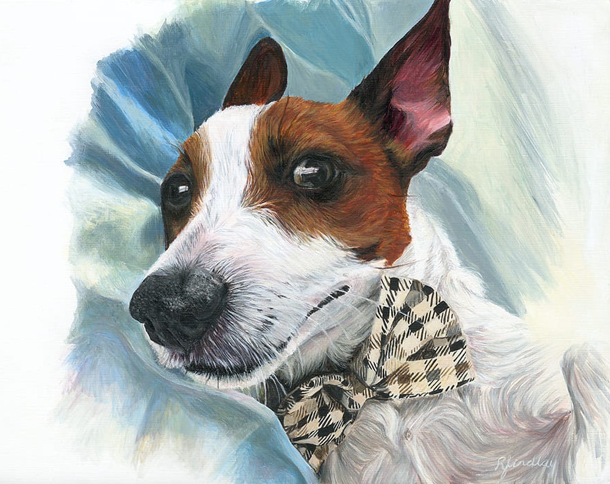 Dog in a bowtie portrait by Rebecca Findlay