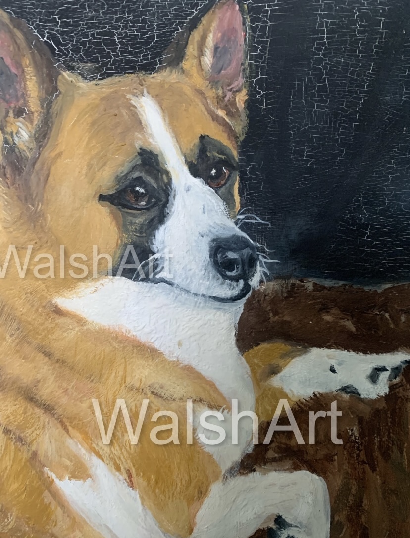 Dog portrait by Marie Walsh
