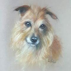 Small ginger dog portrait by Peter Hogarth