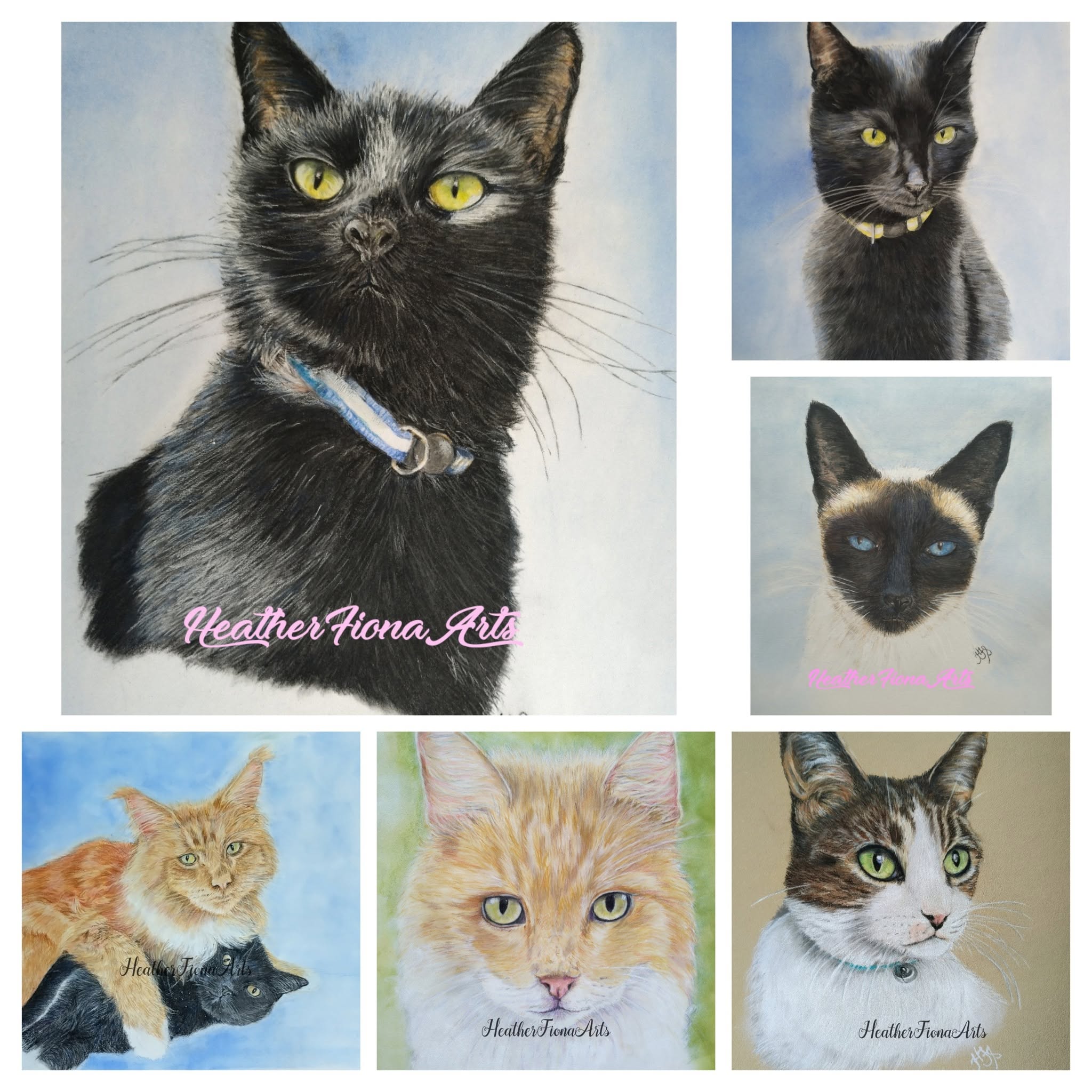 Cat portrait collage by HeatherFiona