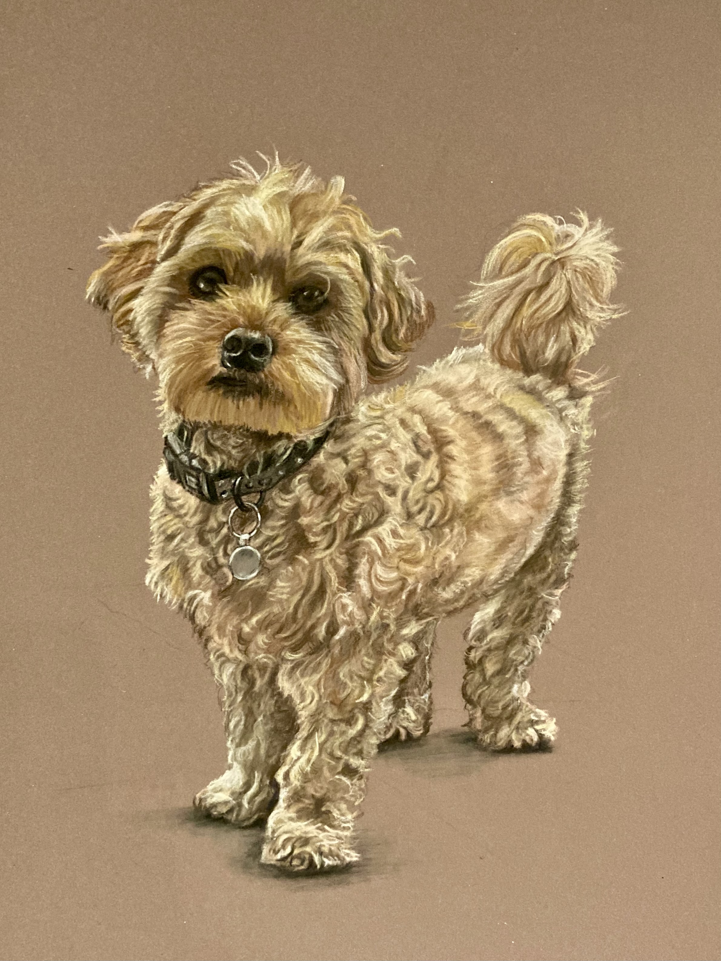Dog portrait by Linda R Paterson