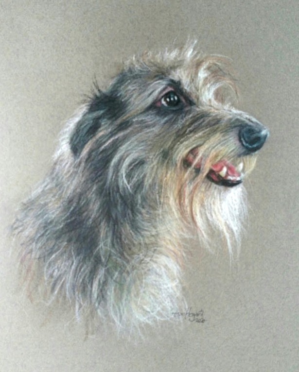 Hound dog portrait by Peter Hogarth