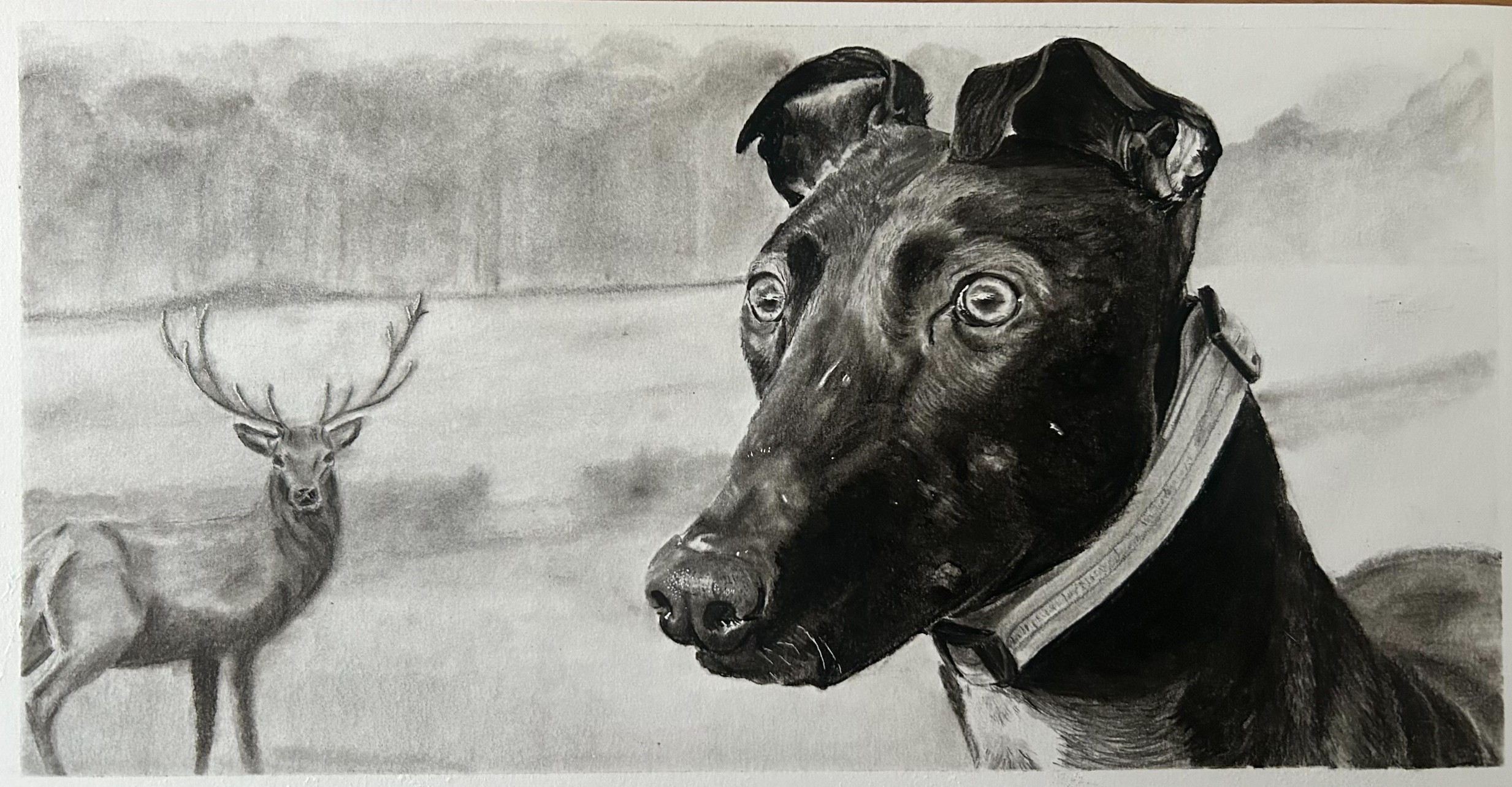 Dog portrait by Kaberry Art