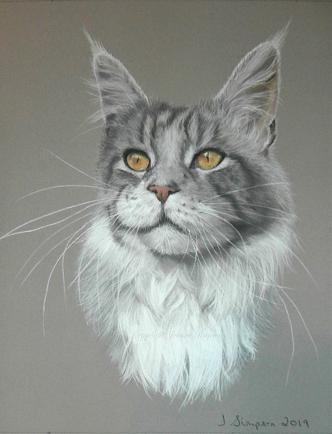 Cat Portrait in pastels by Joanne Simpson