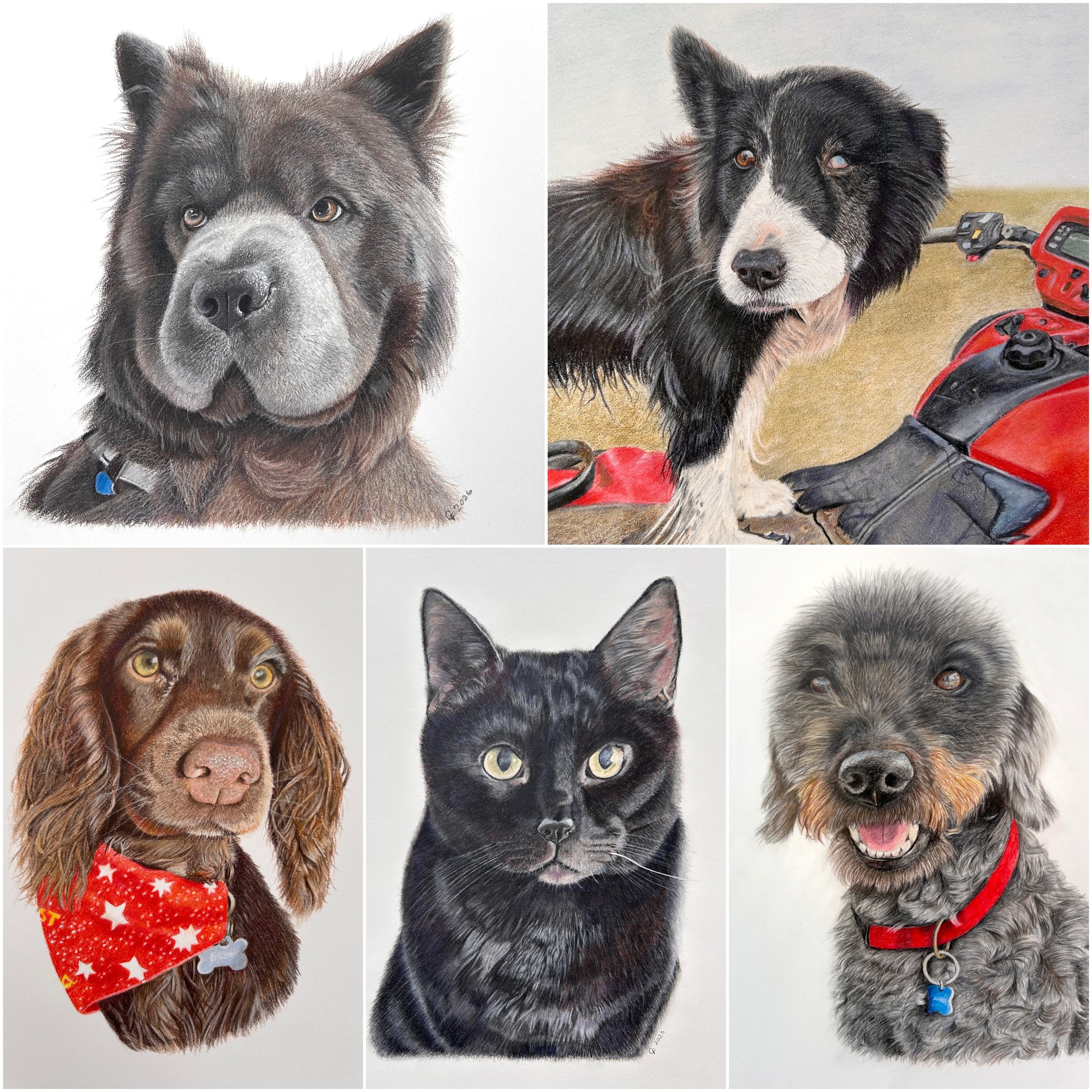 Collage of pet art by Carol Frances