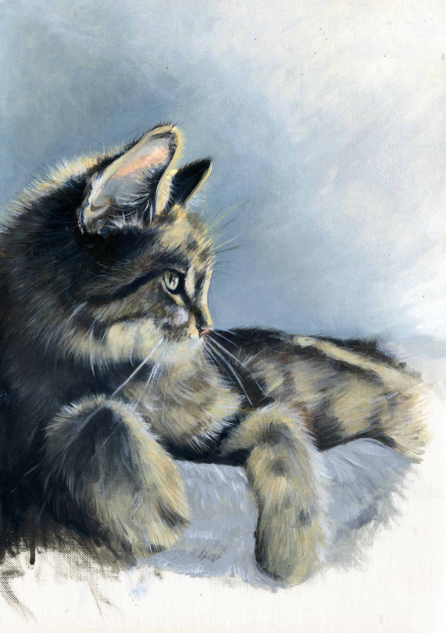 Cat portrait by Emma S Campbell