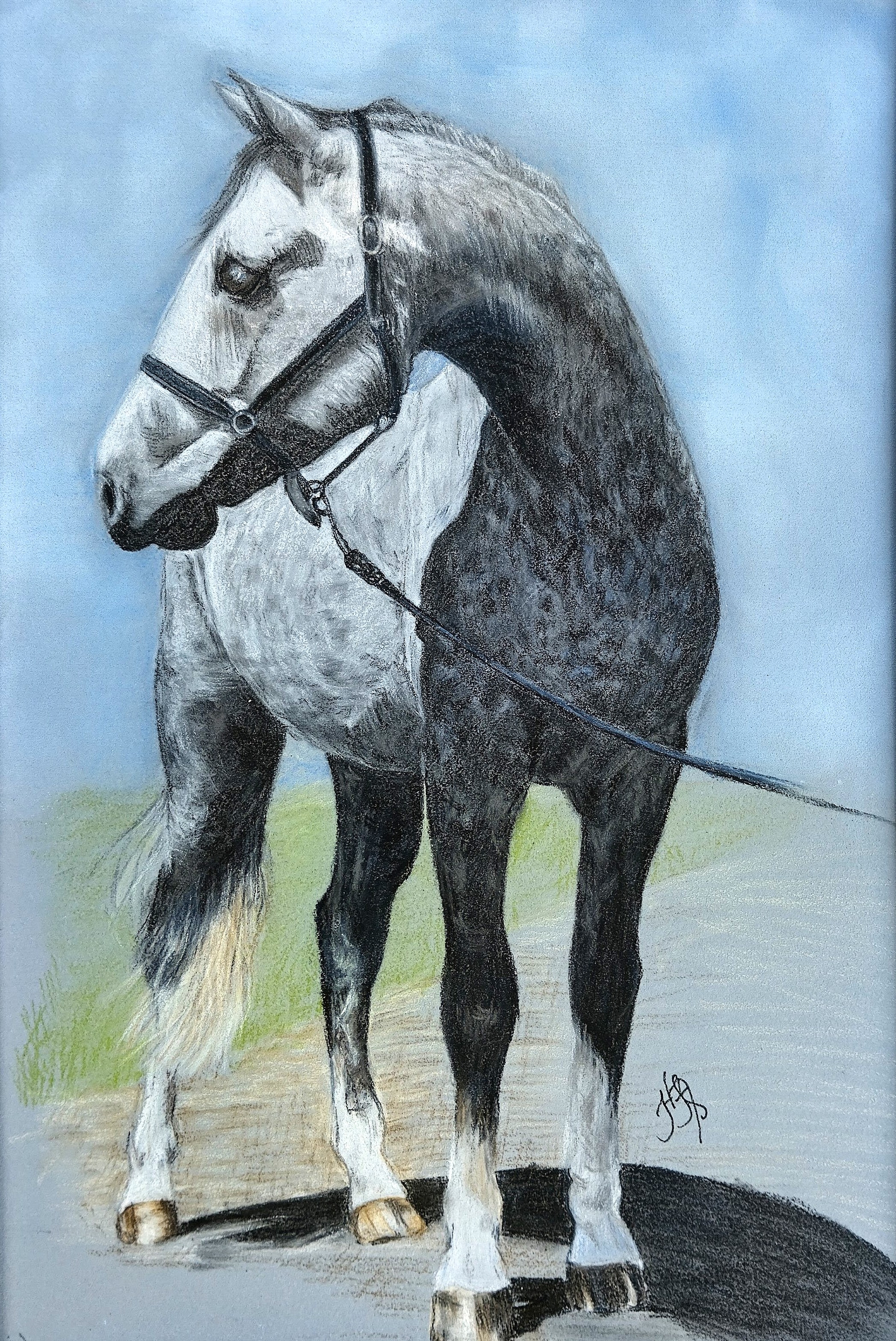 Horse portrait by HeatherFiona Arts