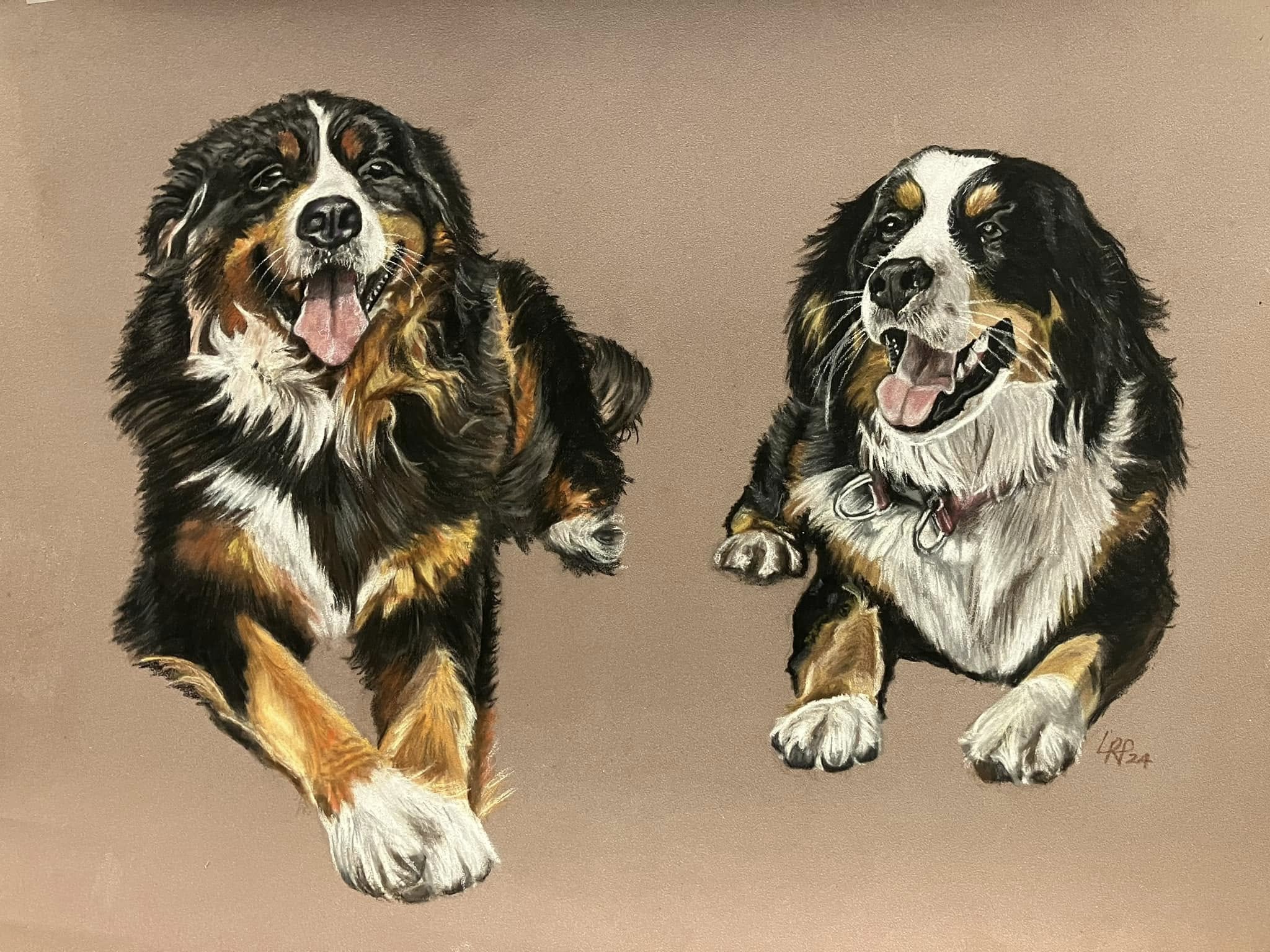 Double pet portrait by Linda R Paterson