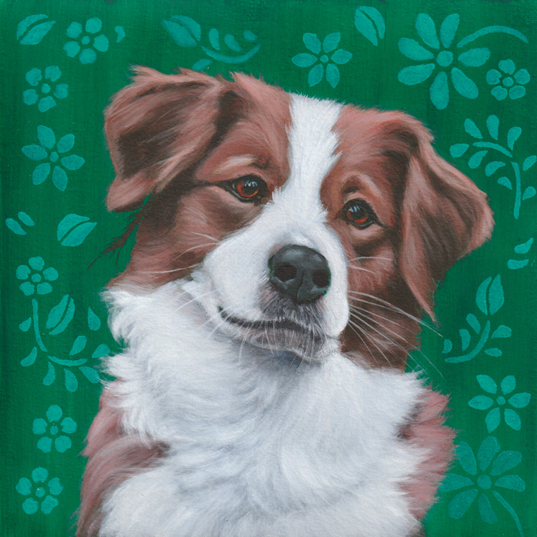Dog portrait by Jackie Buckle