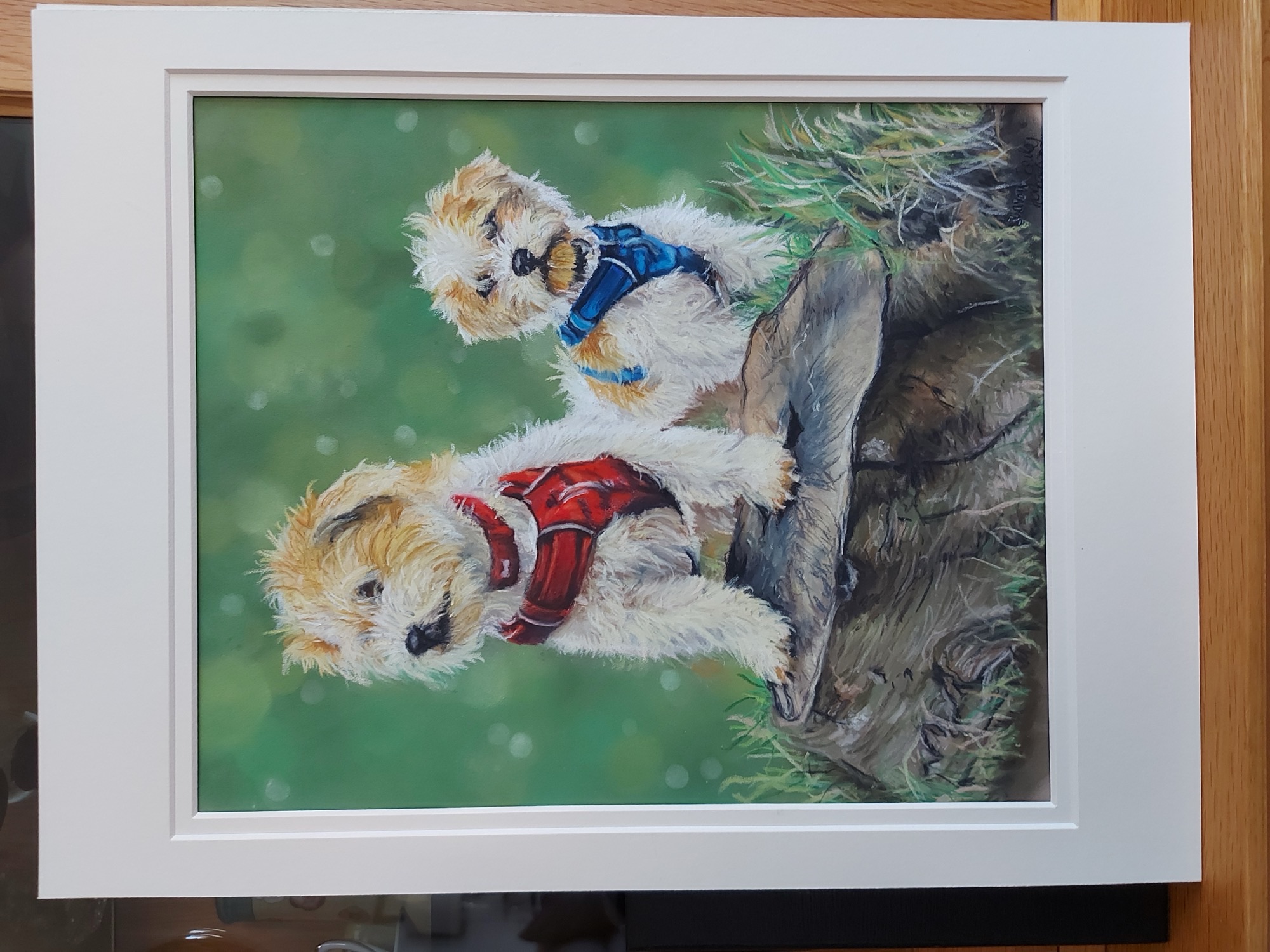 2 dog portrait by Sharon Herbert