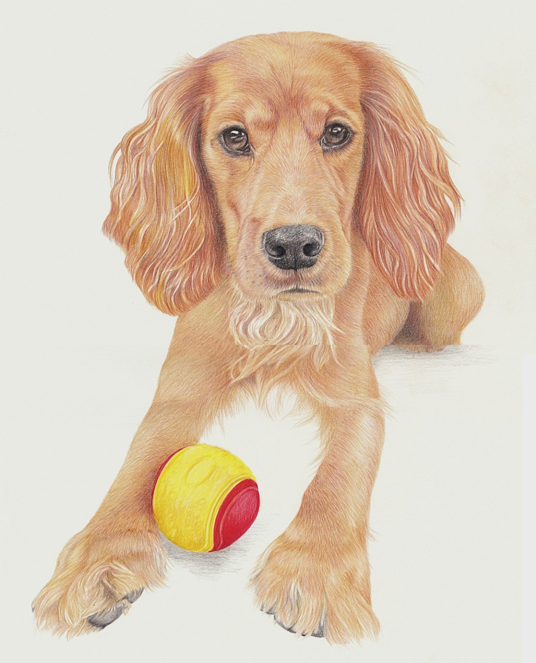 Dog portrait by Sue Tyler
