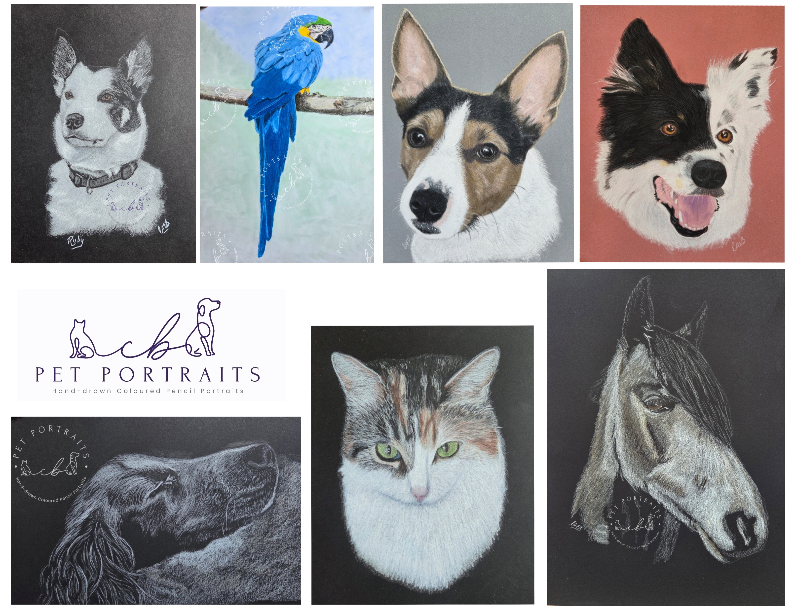 Collage of pet artwork by Carol Bentley CB