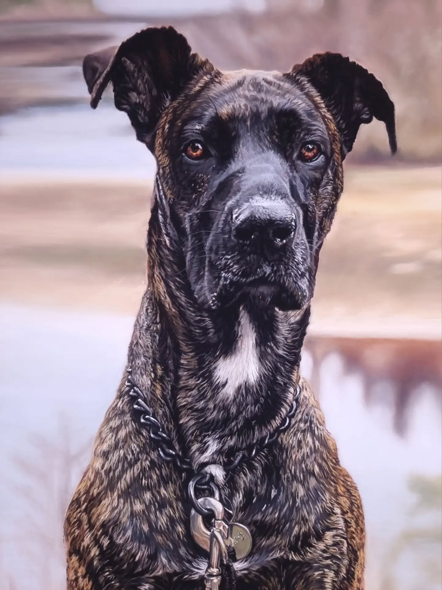Great Dane dog portrait by Samantha Greenhill