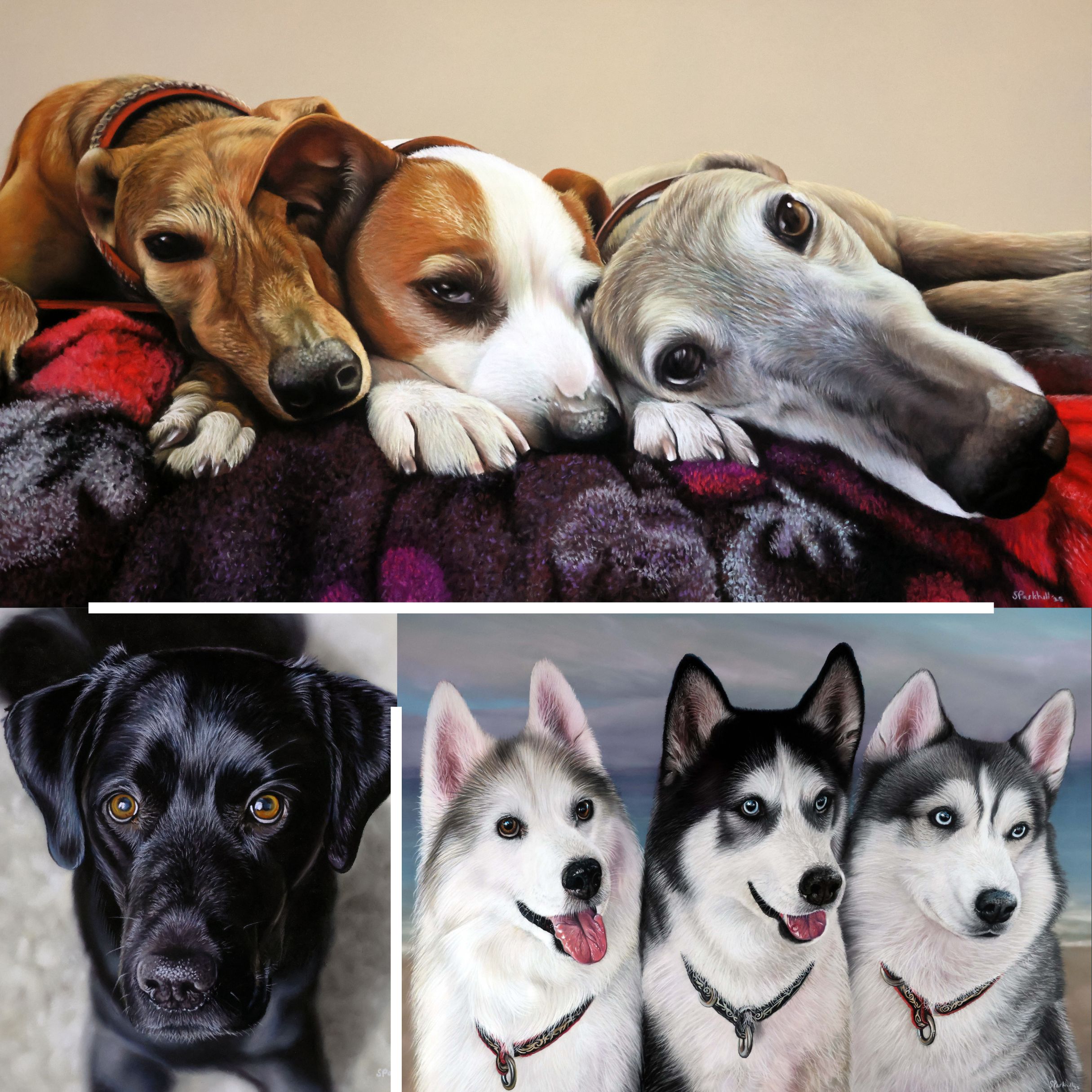 Collage of dog portraits by Sophie Parkhill