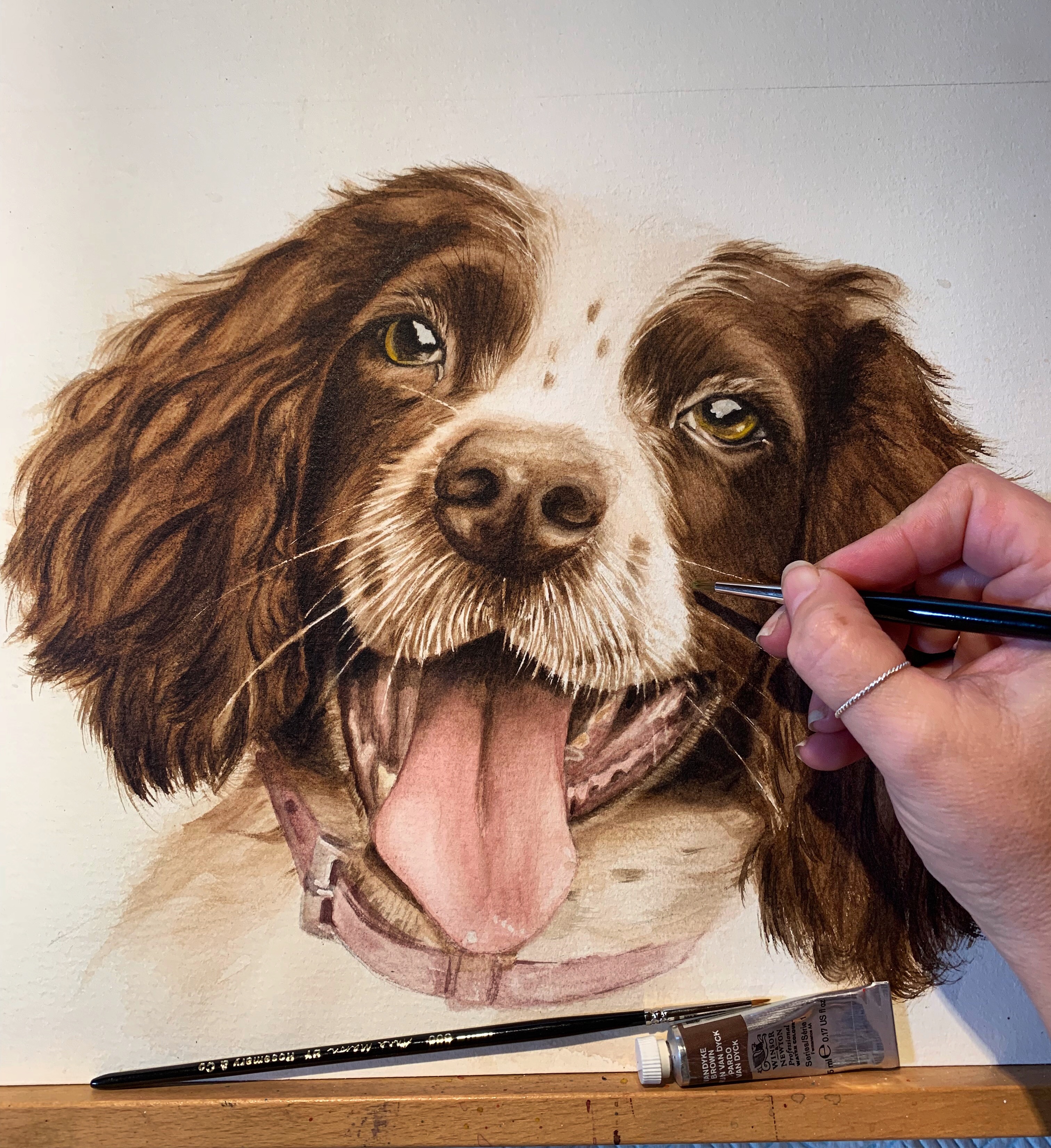 Dog portrait by Catherine McSweeney