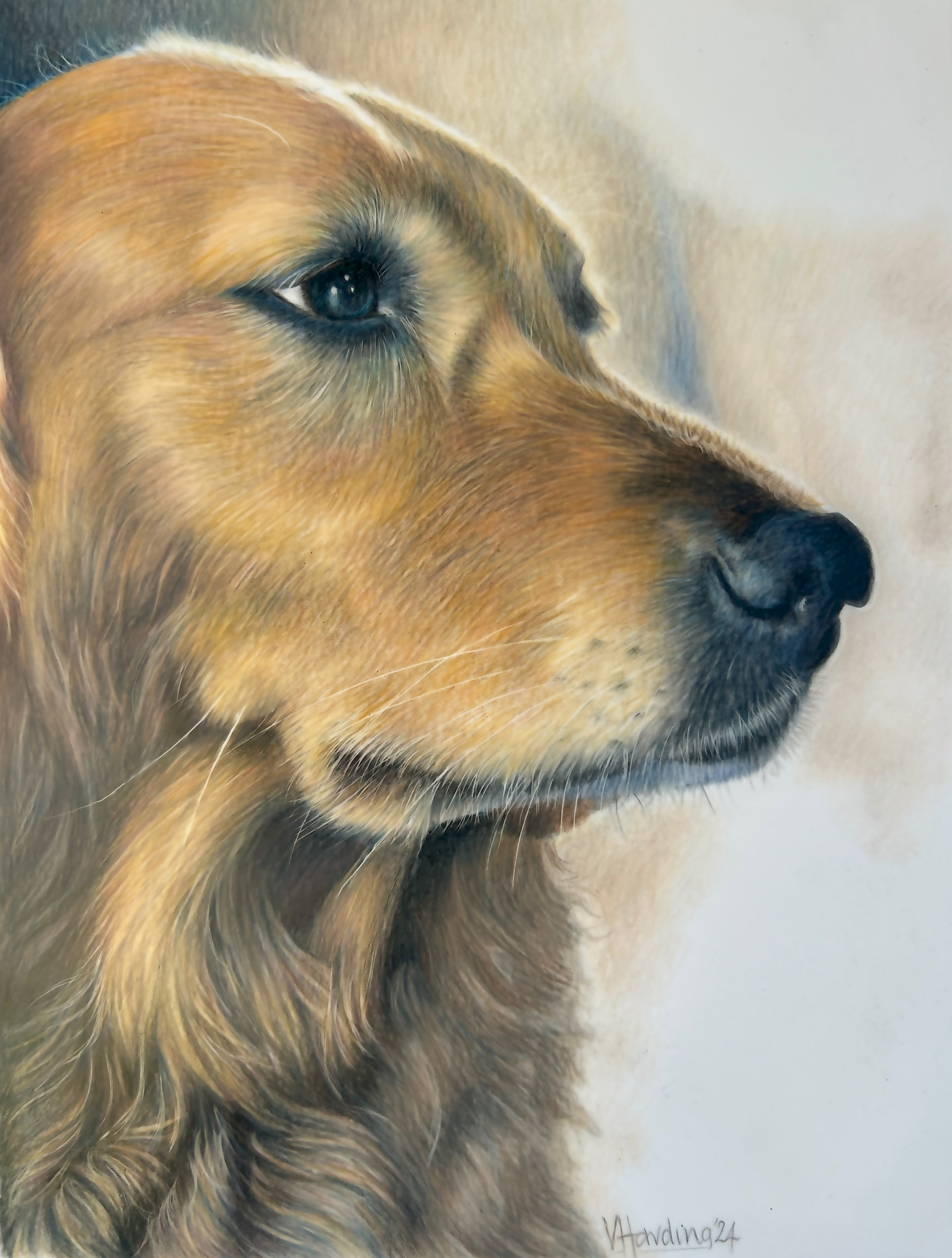 dog portrait by Vanessa Harding