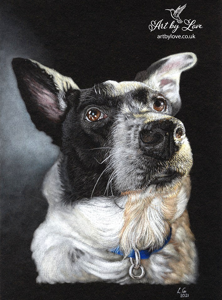 Dog portrait by Love Grosmane