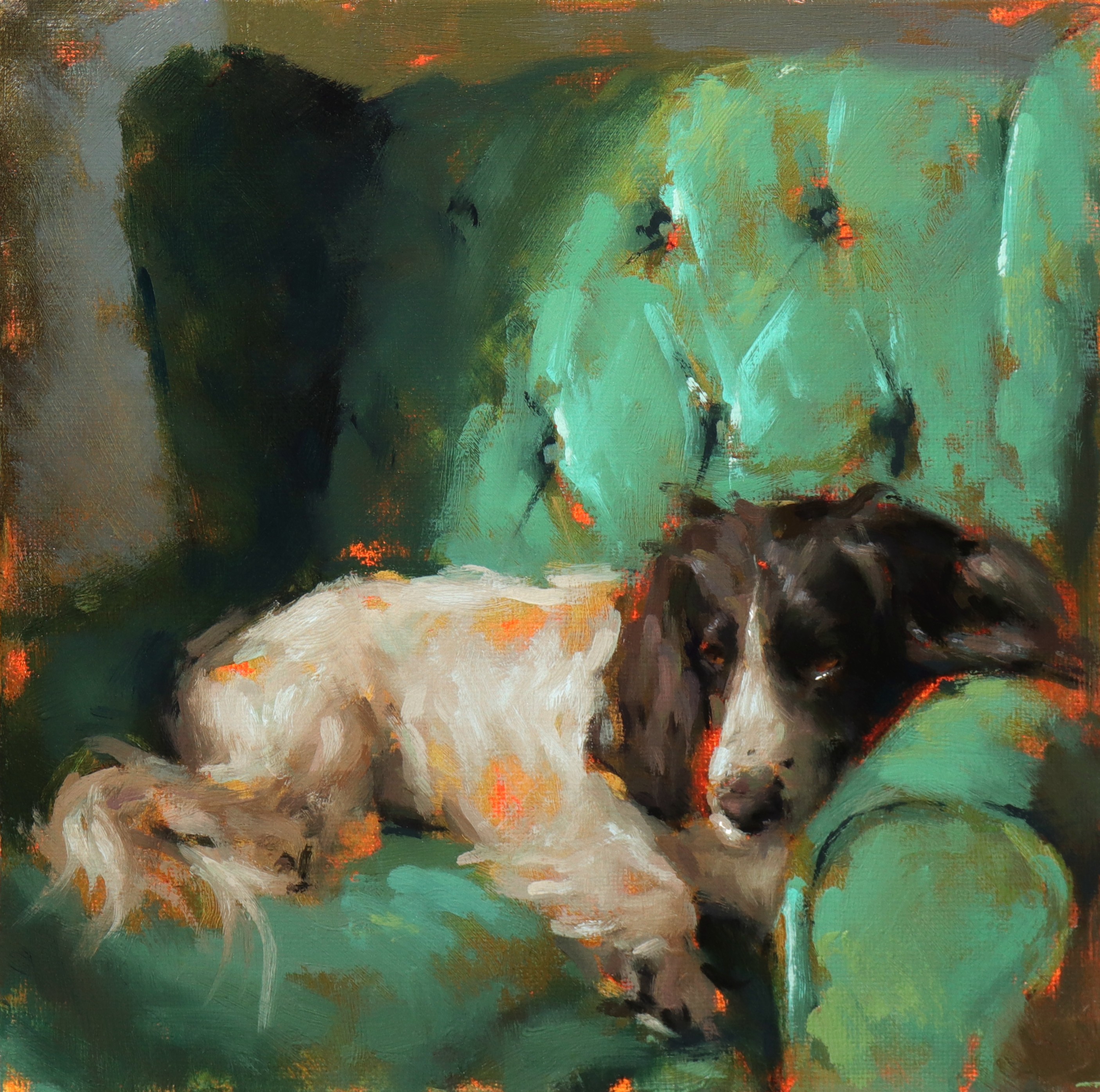 Dog in green armchair portrait by Jade Eynon