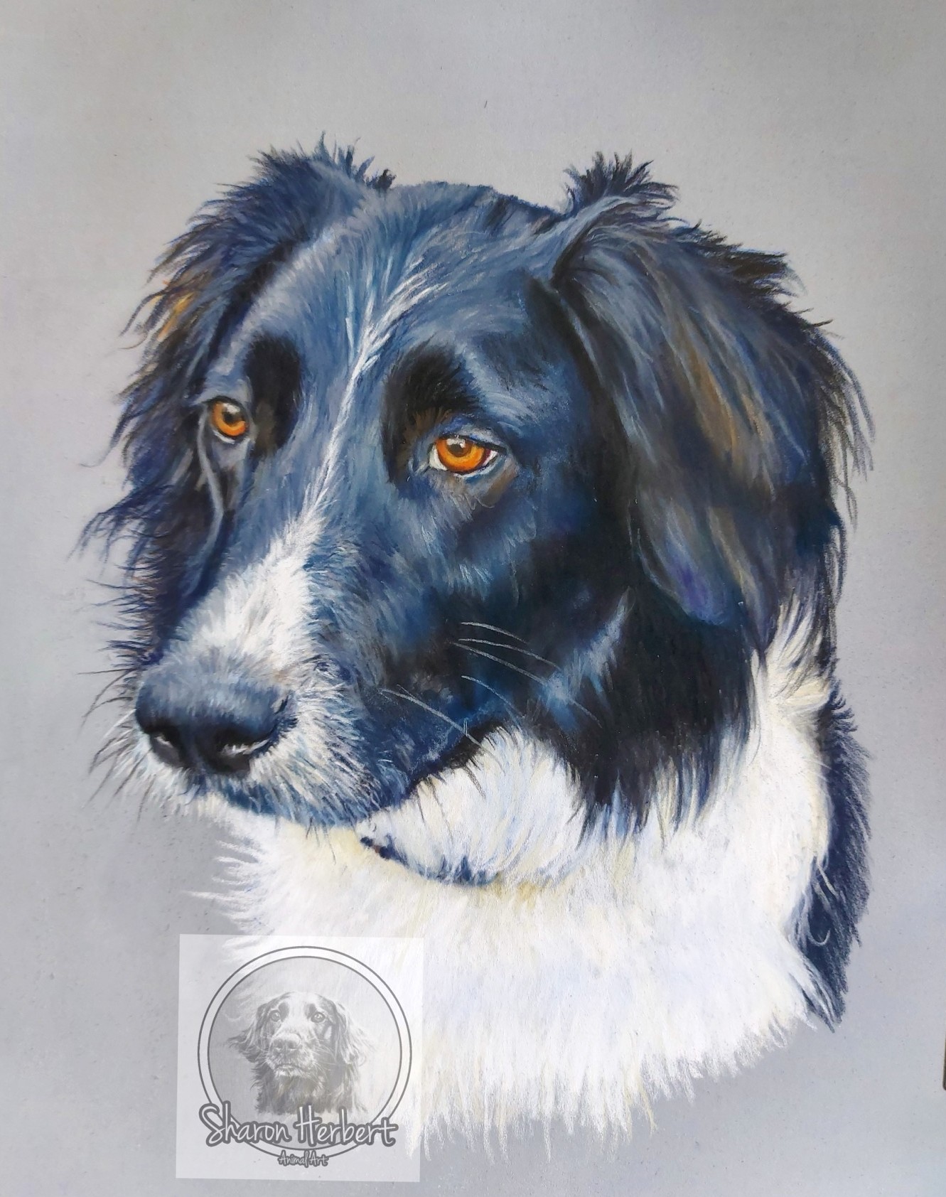 Dog Portrait by Sharon Herbert