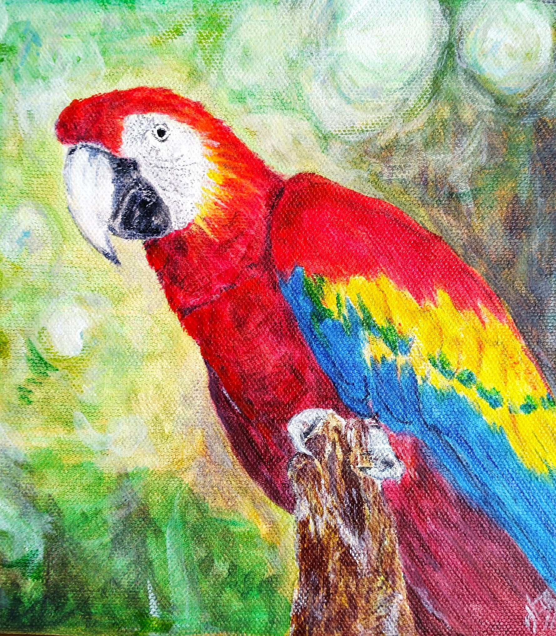 Parrot portrait by HeatherFiona Arts