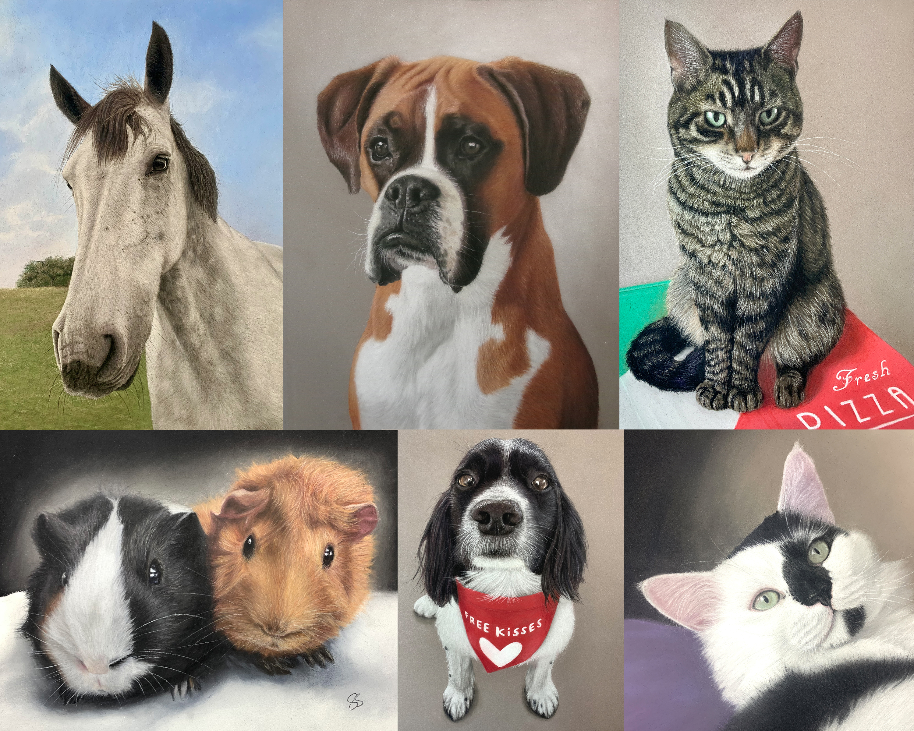 Montage of horse, dog and pet portraits by Sally Sturgess