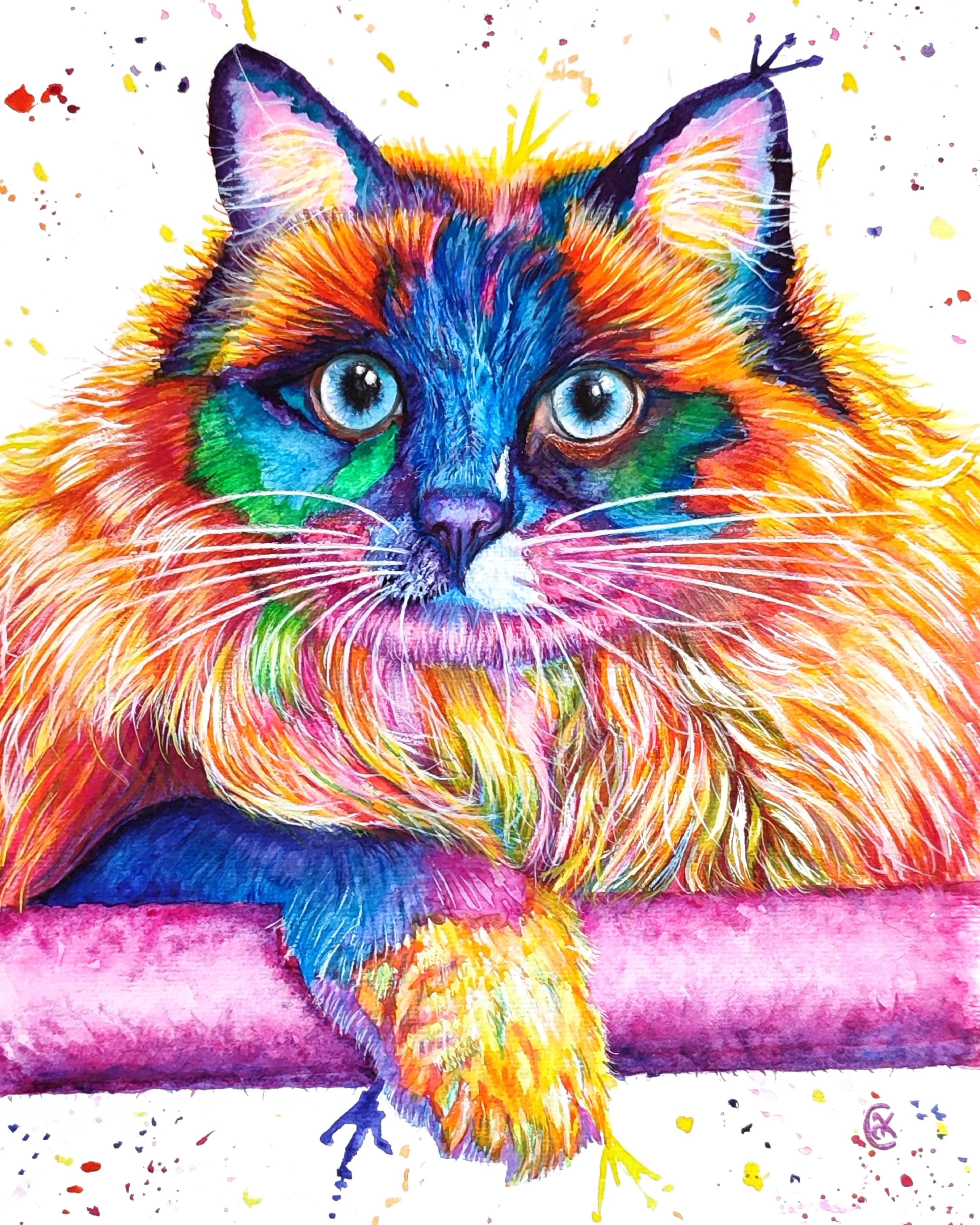 Cat portrait in vibrant colours by Andrea Knowles