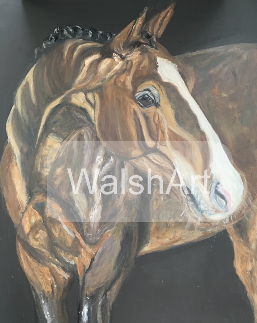 Horse portrait in oils by Marie Walsh
