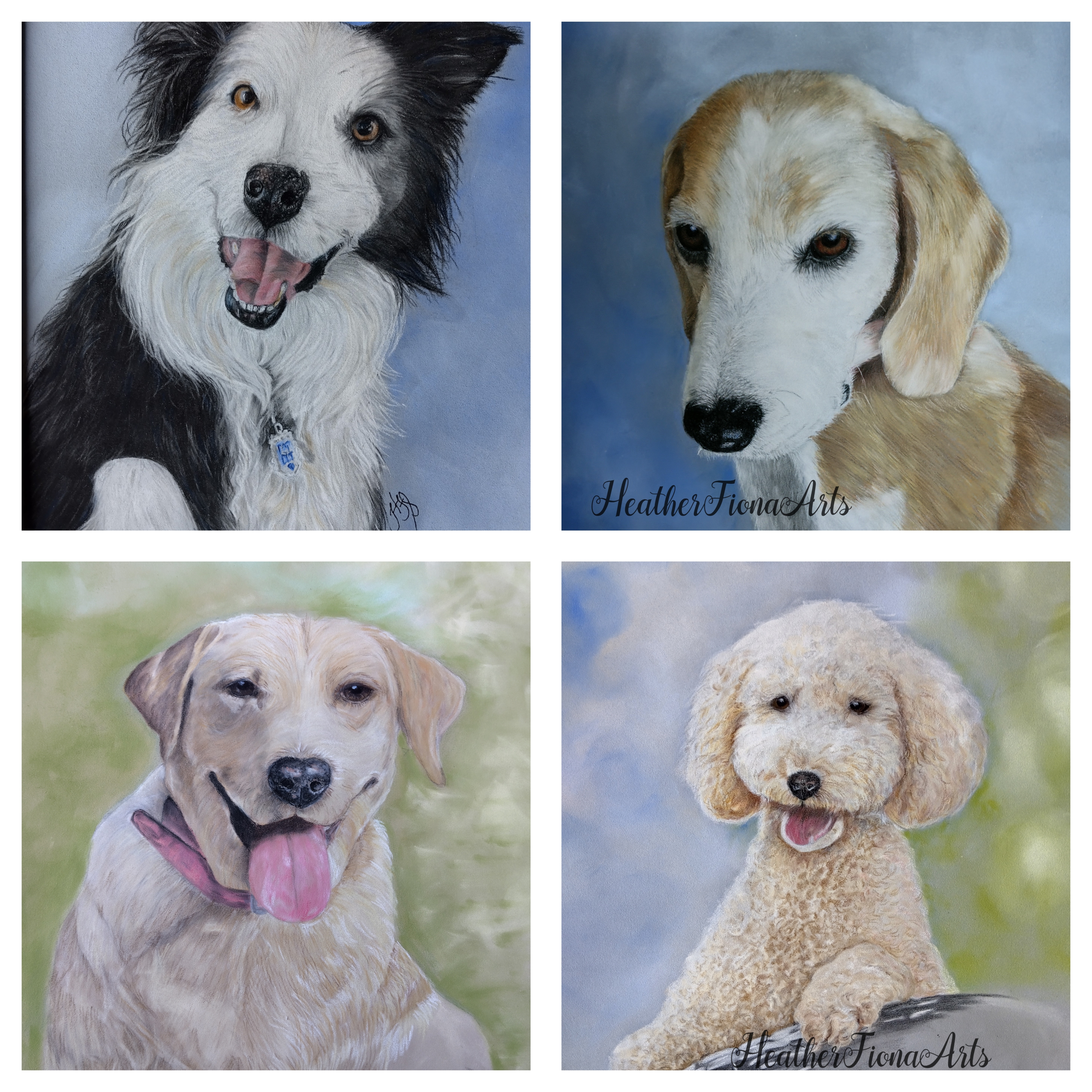 Dog collage by HeatherFiona Arts